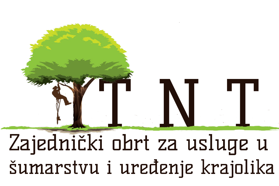 TNT
